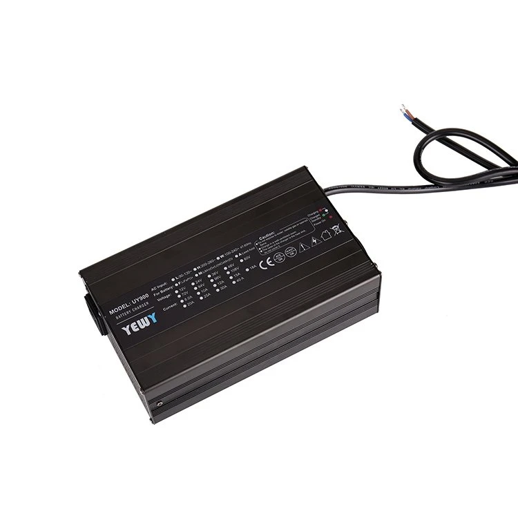 Low Speed Electric Vehicle Battery Charger
