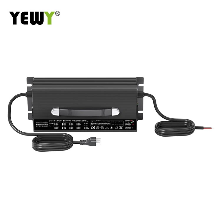 Automatic Battery Charger high quality